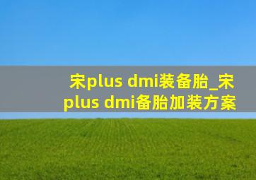 宋plus dmi装备胎_宋plus dmi备胎加装方案